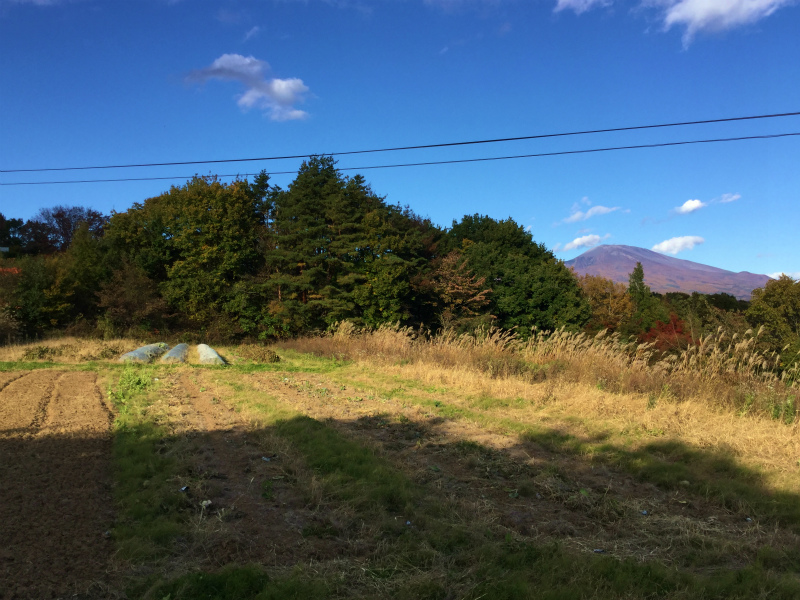 c0201450_17294139.jpg