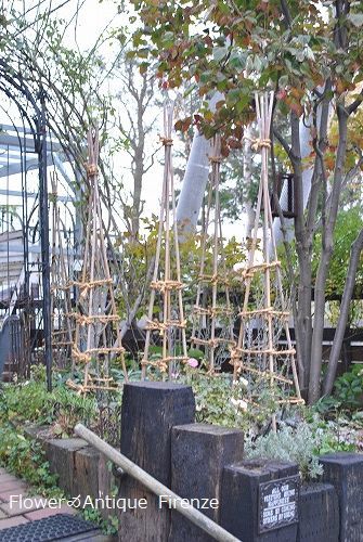 *退院の花束と今の庭*_e0159050_16494708.jpg