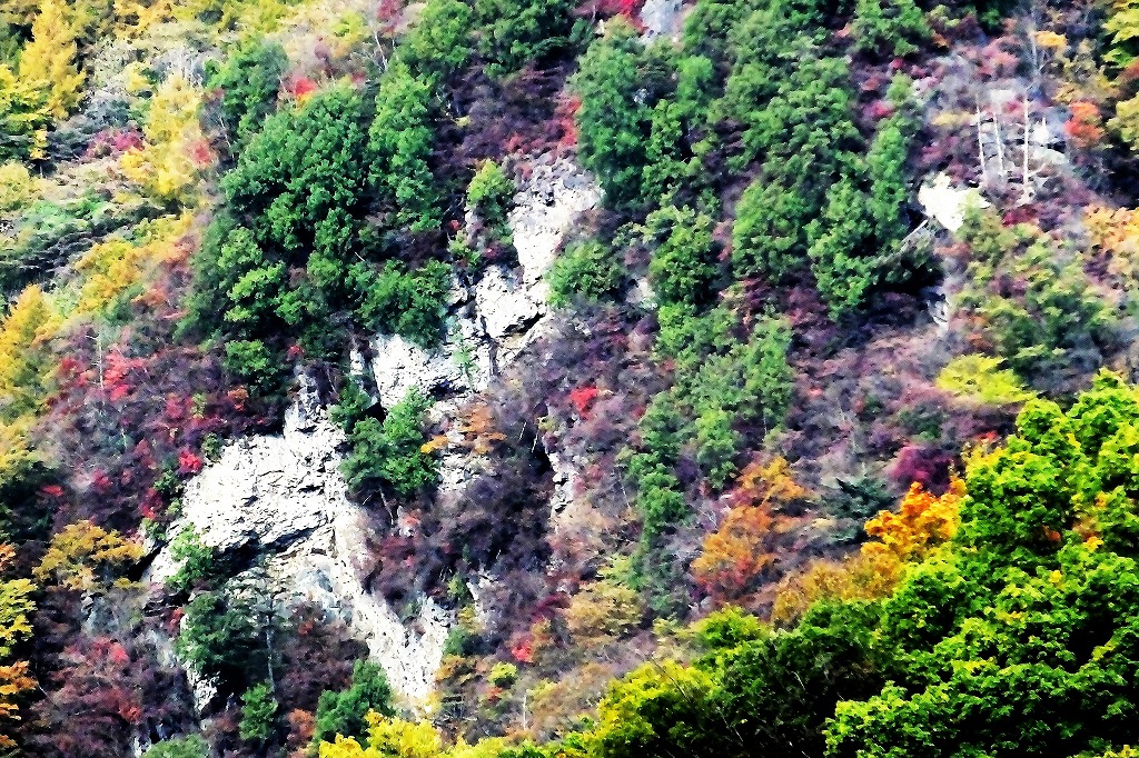b0236251_1050108.jpg