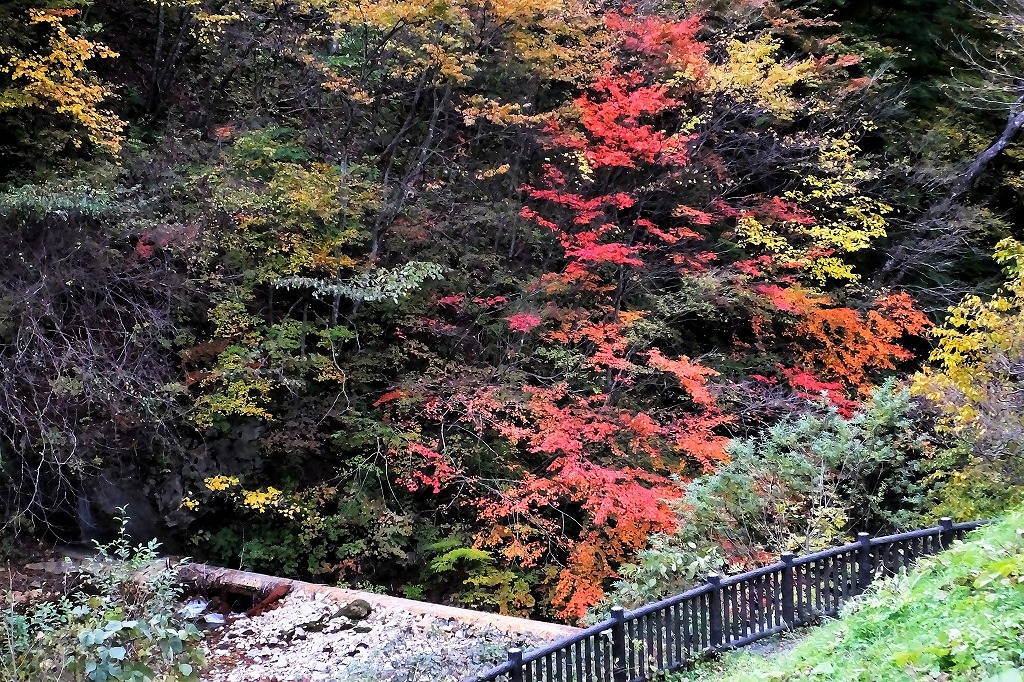 b0236251_10563564.jpg