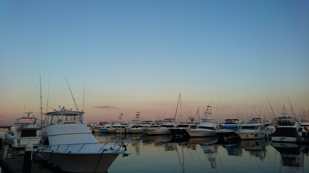d0068151_14032805.jpg