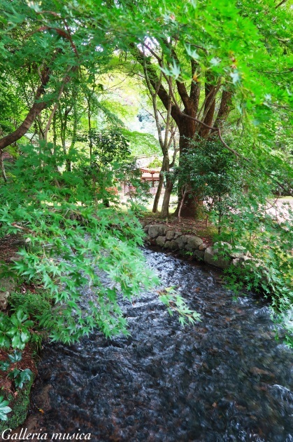 賀茂別雷神社編　その２。～あさきゆめみし　京を巡る旅～_f0351853_22421788.jpg