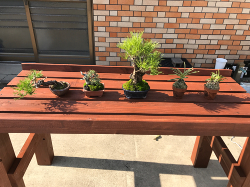 盆栽棚diy こにおのぴよりうむ