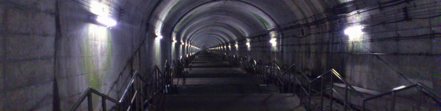 a0057057_10273660.png
