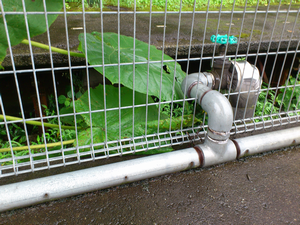 a0057057_2310165.png