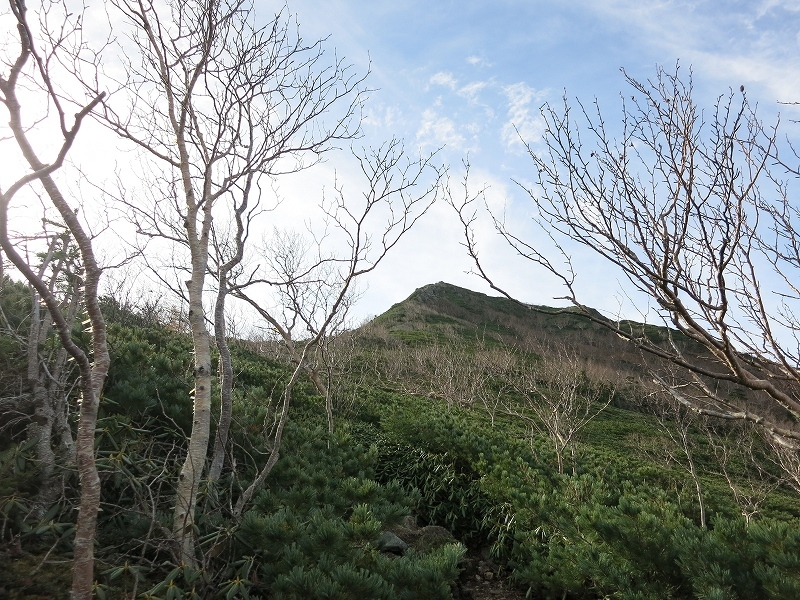 e0170558_23235226.jpg