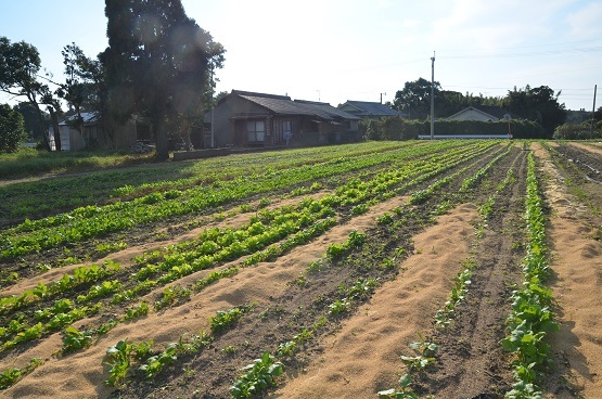 f0186462_23512749.jpg