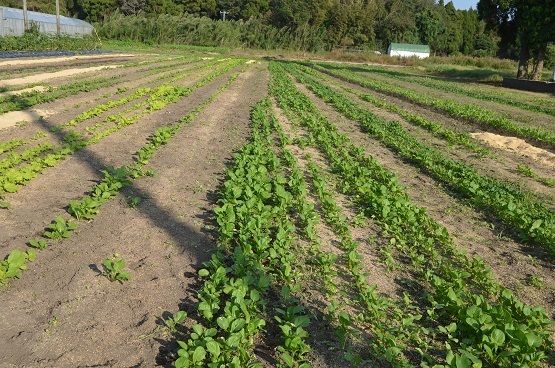 f0186462_23520025.jpg