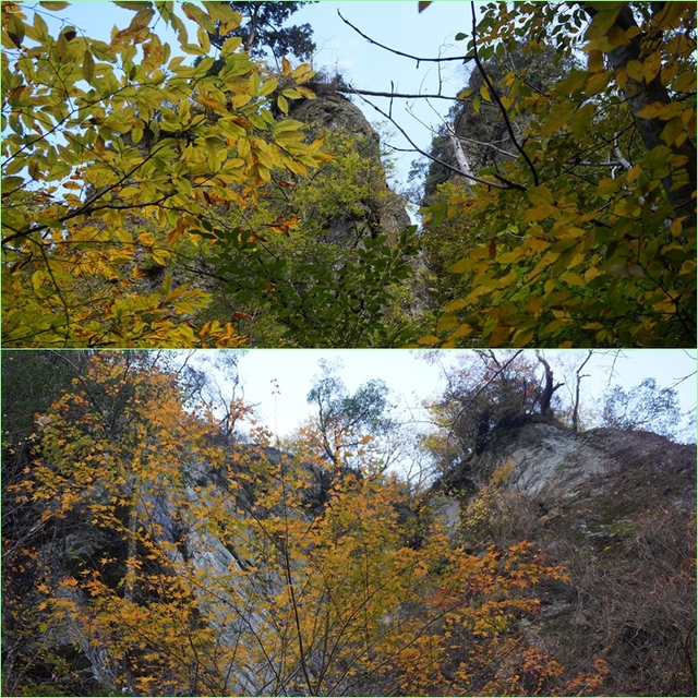 f0016066_1350963.jpg