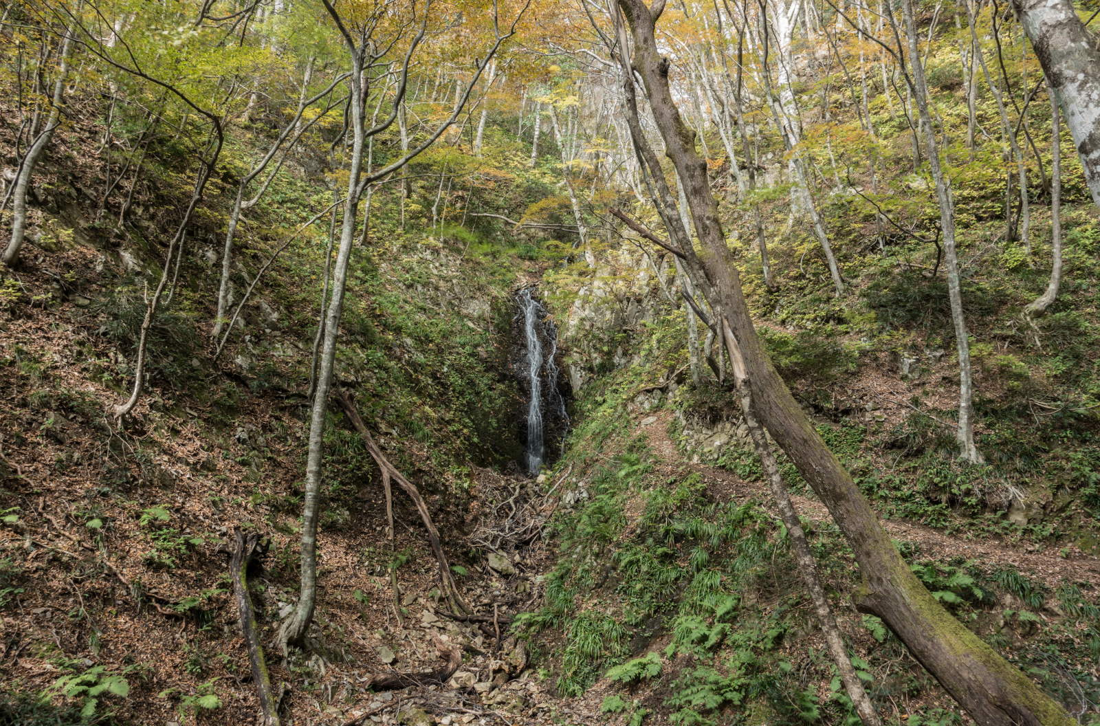 e0015567_205205.jpg