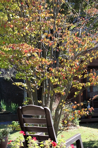 c0139168_22143090.jpg