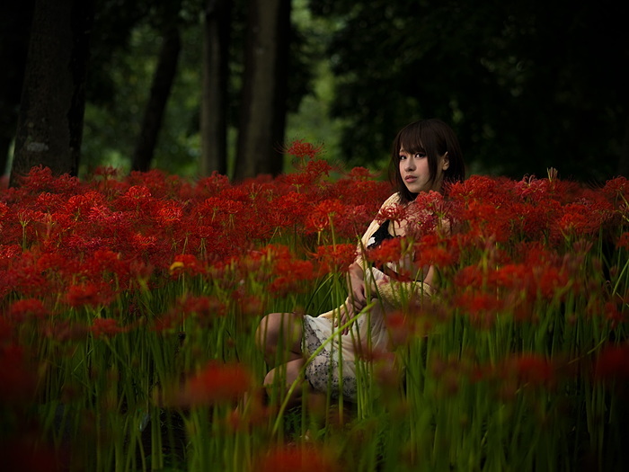 彼岸花ポトレ 季節物です Storage Of Jin