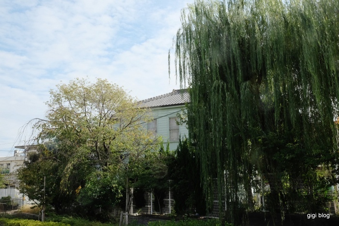 f0374868_09373012.jpg