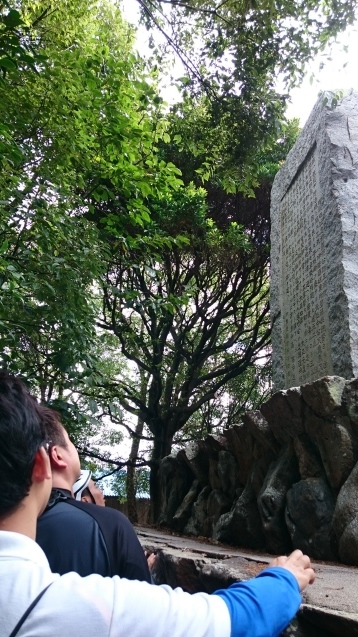b0133771_19051215.jpg