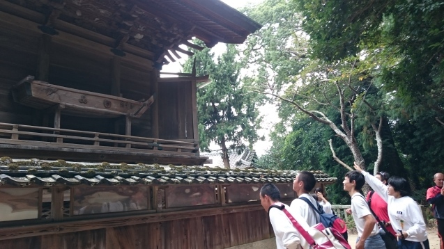 b0133771_19145020.jpg