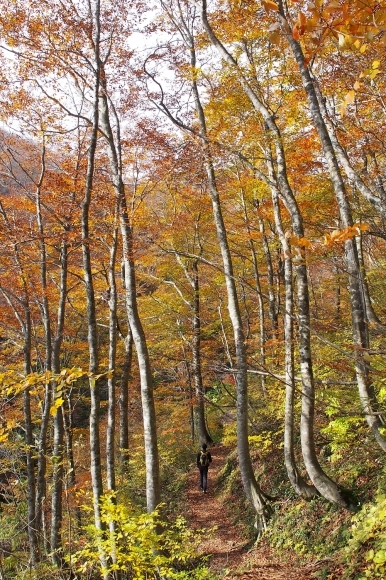 c0359075_21221370.jpg