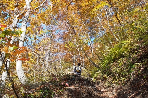 c0359075_21223662.jpg
