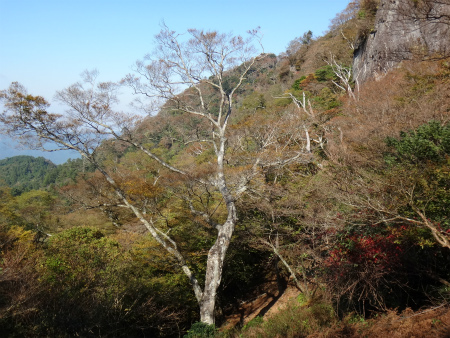 d0182075_04112341.jpg