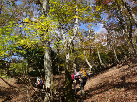 d0182075_04113051.jpg
