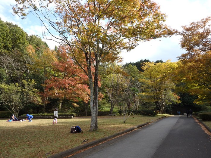 百年公園と岐阜県博物館 自然風の自然風だより