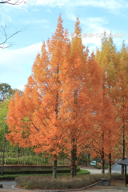 c0283778_1213929.jpg