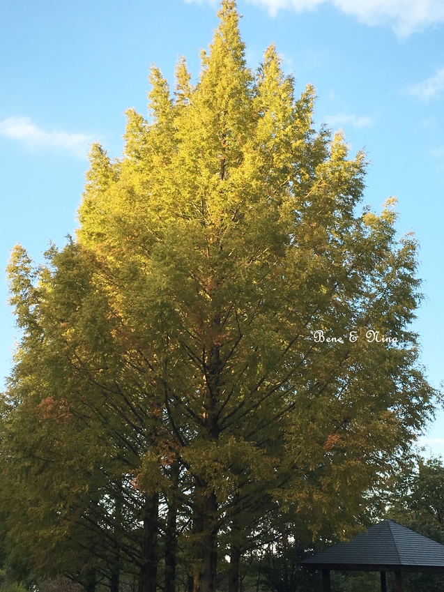 c0283778_12141729.jpg
