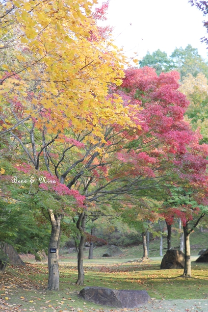 c0283778_124181.jpg