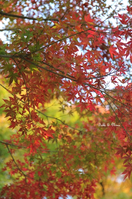 c0283778_1253416.jpg