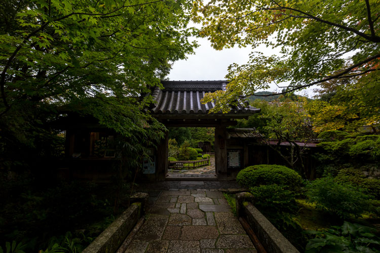 宝泉院_e0051888_2349387.jpg
