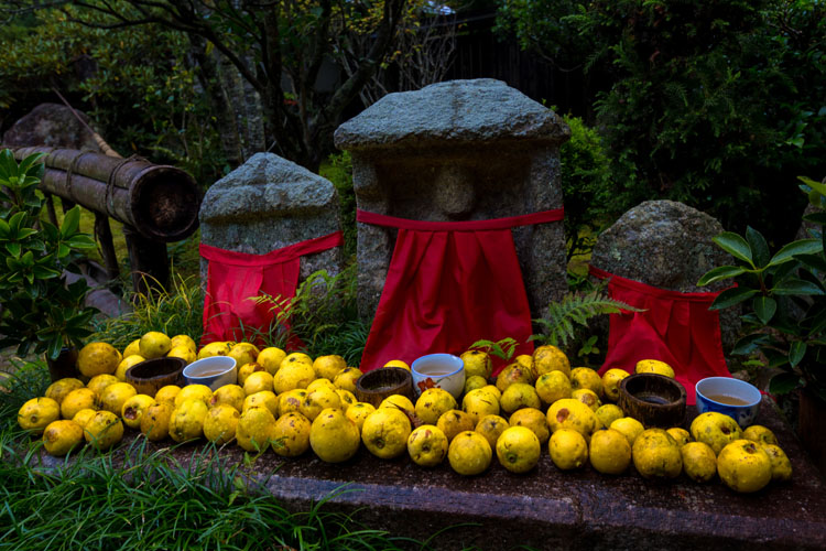宝泉院_e0051888_2350315.jpg