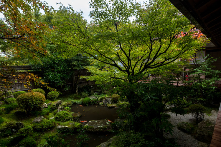 宝泉院_e0051888_23503754.jpg