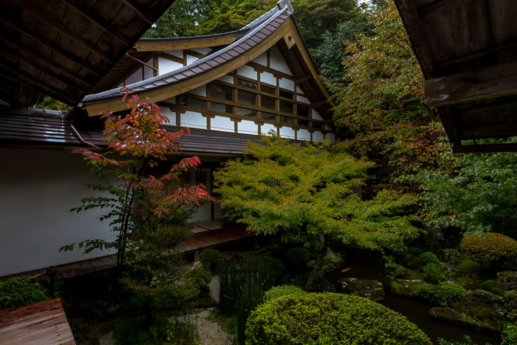 宝泉院_e0051888_23504589.jpg