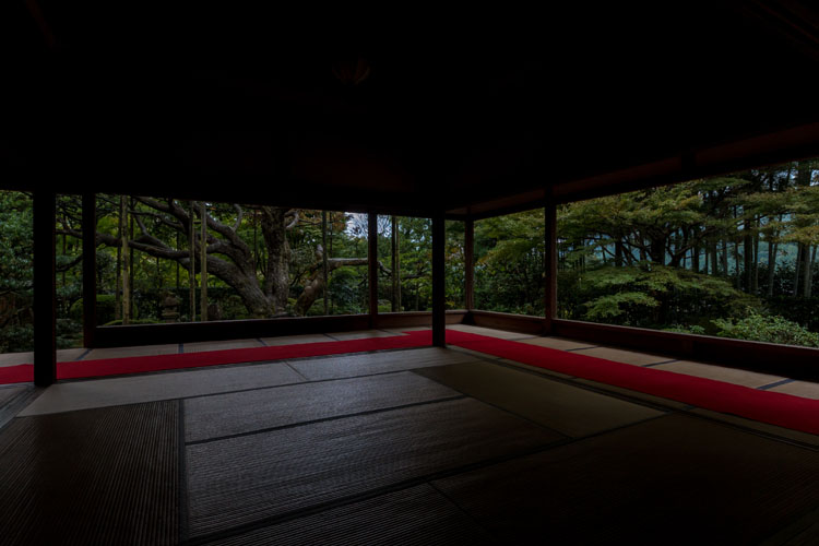 宝泉院_e0051888_23511721.jpg