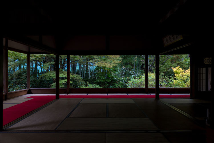 宝泉院_e0051888_2351990.jpg