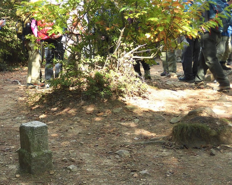d0125589_5595490.jpg