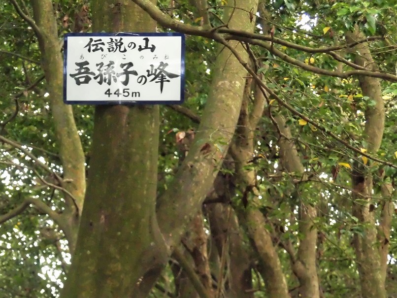 d0125589_60175.jpg