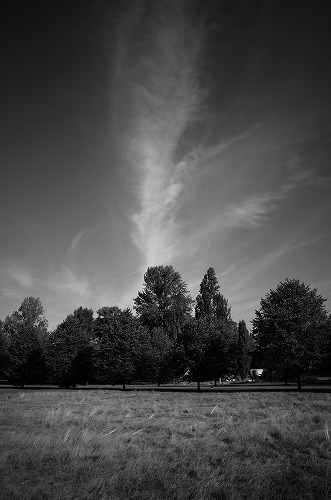 b0119493_0474458.jpg