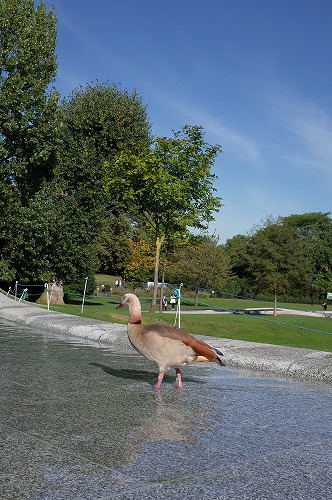 b0119493_0551561.jpg