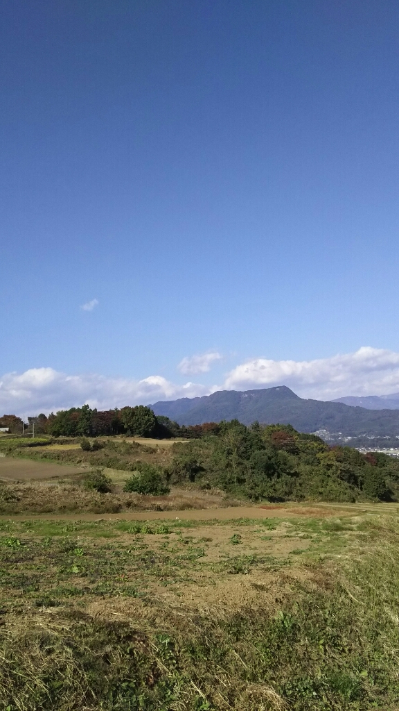 d0291493_19381520.jpg