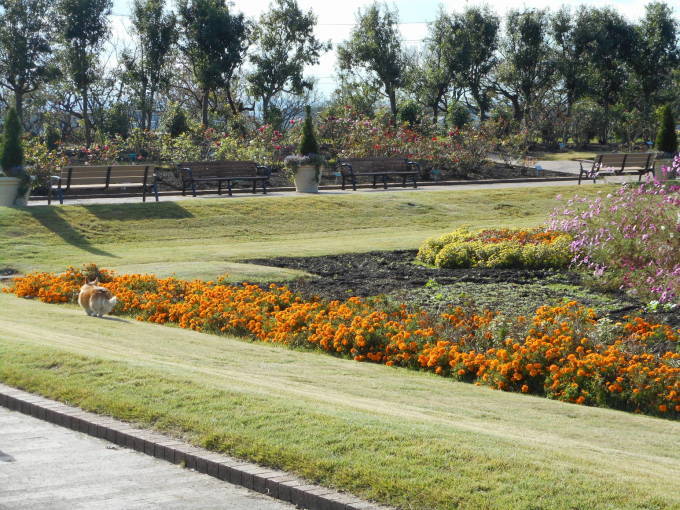 f0075595_00130203.jpg