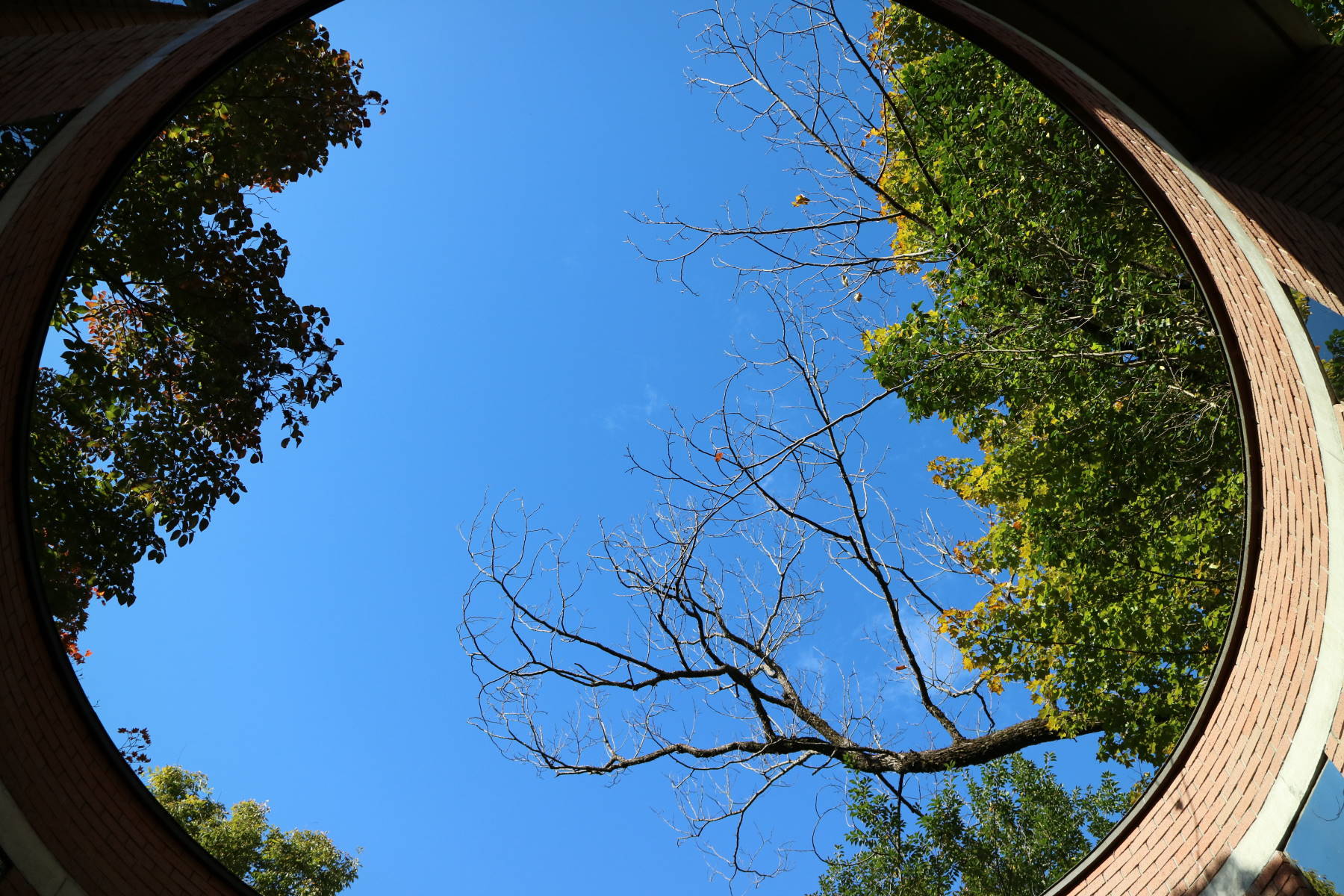 f0075595_01123706.jpg