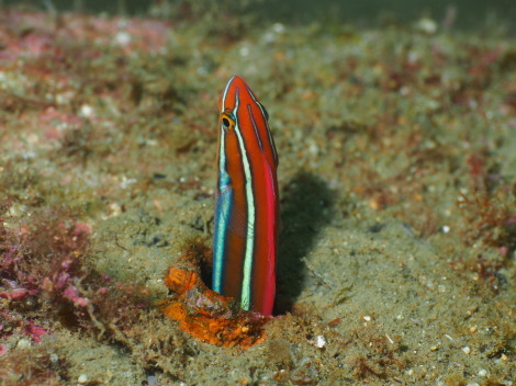e0115199_12404905.jpg