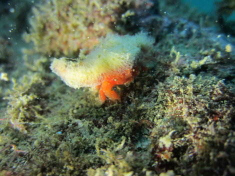 e0115199_12445935.jpg