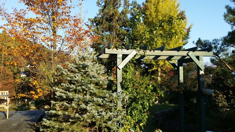 c0320302_20434072.jpg