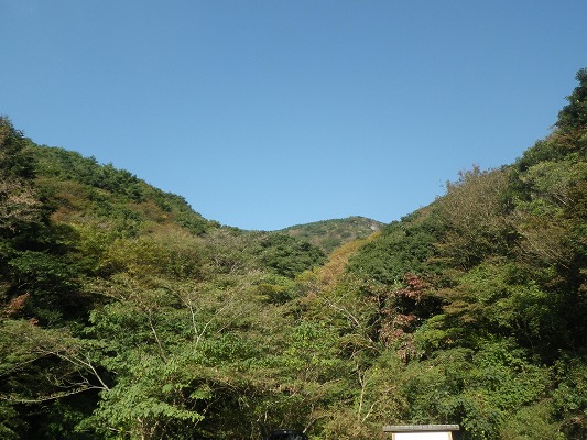 f0187402_21131535.jpg