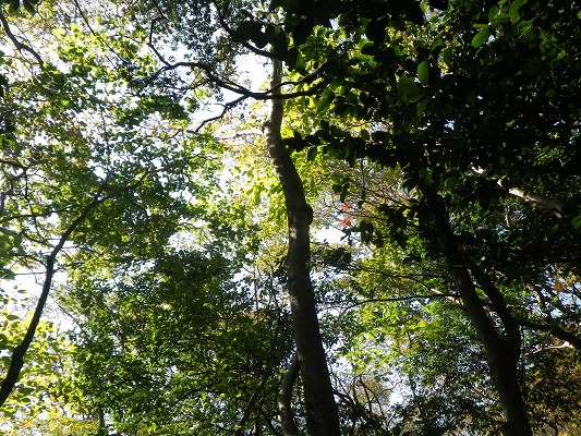 f0187402_21135744.jpg