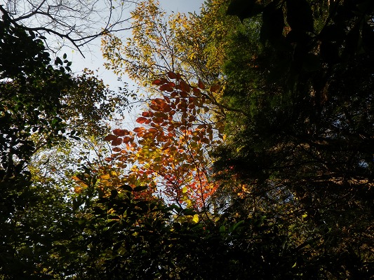 f0187402_21142955.jpg