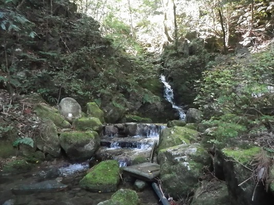 f0187402_21165784.jpg