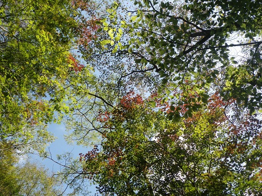 f0187402_21172038.jpg