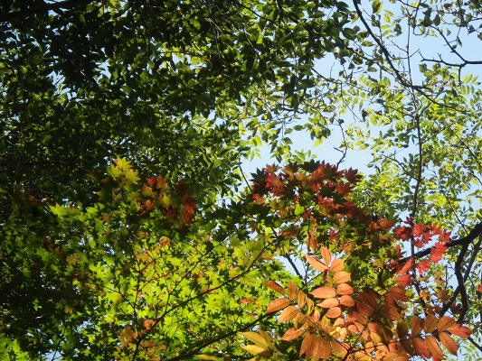 f0187402_21173612.jpg